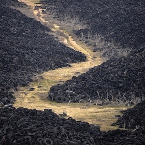 Fapte interesante despre anvelope